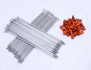 Bulldog stainless spokes orange nippels