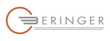 Beringer brakes